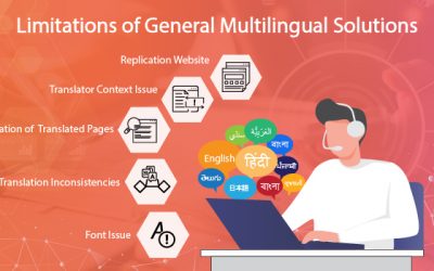 Limitations in General Multilingual Solutions